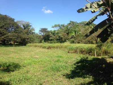 Within walking Distance to Beach