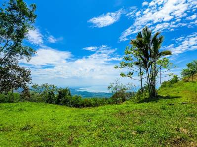 For Sale Lot with Panoramic Ocean Views and Jungle Charm in Ojochal – Ballena Views