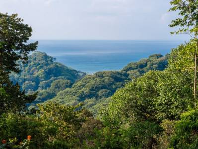 Rara Finca De 86 Acres Con Vista Al Mar Bordeando Hacienda Barú