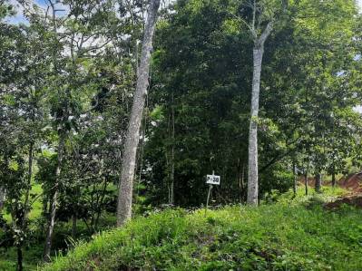 Lot for Sale in Hermosa Falls, Hermosa Beach – Half a Hectare with Unique Natural Surroundings