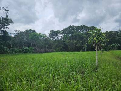 Venta Terreno 5.272 metros cuadrados Fortuna hacia la Catarata
