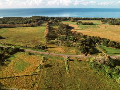 Prime Land For Commercial Development Opportunity With Highway Frontage