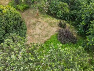 Propiedad frente al río en Ojochal, Costa Rica: terreno plano y edificable de casi una hectárea.