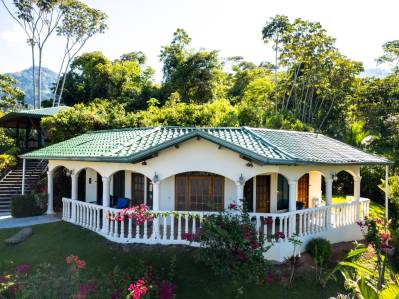 Income Producing Mango Tree Villas