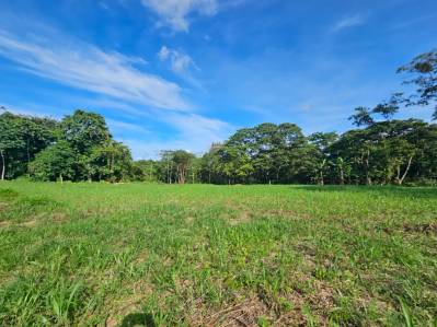 Venta Terreno 5.007 metros cuadrados Fortuna hacia la Catarata