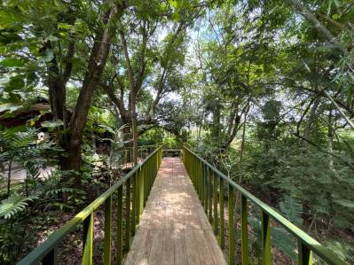 LAND AND HOUSE FOR SALE – 9,724 m² IN COYOLAR, GUACALILLO, PUNTARENAS