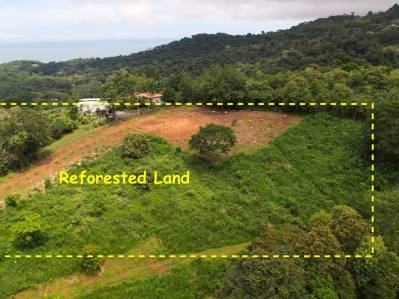 Caracara Ridge lote n.° 2, vistas a la montaña, 1 acre