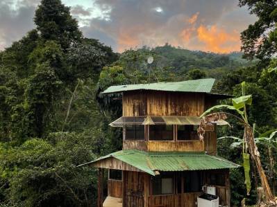 Propiedad de 11 acres frente al río con cabaña y árboles frutales maduros