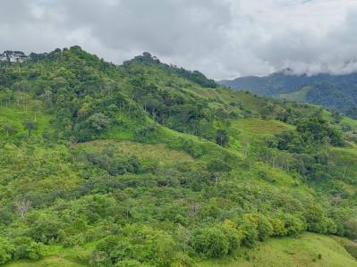 BreathtakinG  200 Acres of Land in the Lush Hills & Mountains of Perez Zeledon