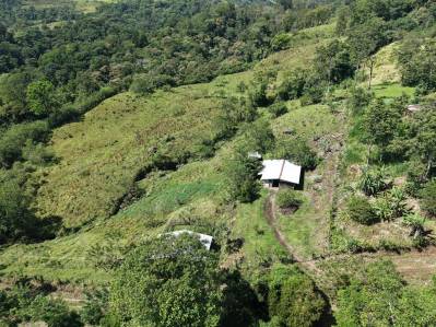 🌿 Se Vende Finca de 86.527 m² en Guayabo de Turrialba 🌿 ₡100.000.000 📲8830 4140