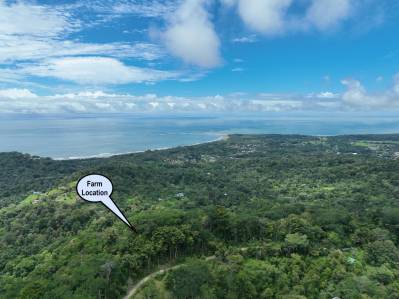 Legacy 60-Hectare Property with Panoramic View of the Whale's Tail Beach