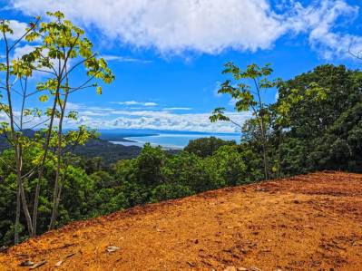 Expansive Ocean View Lot for Sale in Ballena Views, Cinco Ventanas, Ojochal