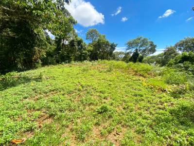 Jungle Lot for Sale in Ojochal With River & Waterfall