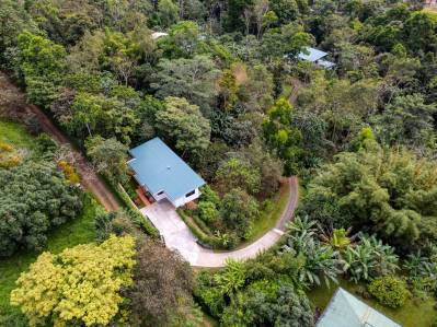 2 CASAS, VISTAS A LA MONTAÑA, TERRENOS ADICIONALES, ÁRBOLES FRUTALES Y UN ARROYO