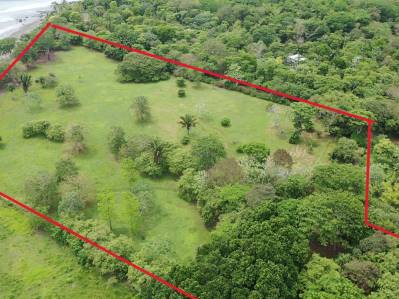 Unveil Your Dream Beachfront Sanctuary in Cabo Matapalo.