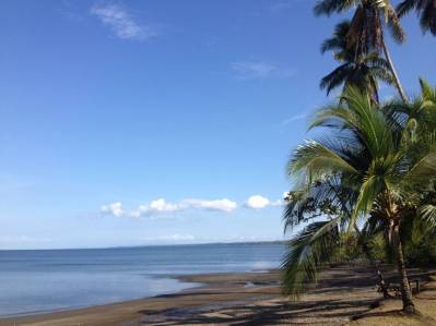 GIANT Farm, with view to the Golfo Dulce, and Lots of nature!