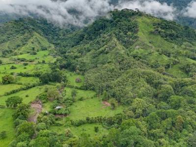 Ocean view property with multiple plantels, unspoiled mountain, jungle, river and waterfall areas.