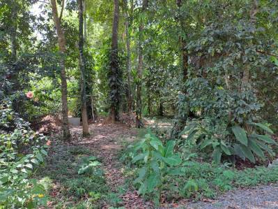 Titled Lot in Punta Uva