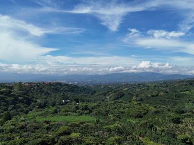 30+ Acre Coffee Farm for Sale in Grecia, Costa Rica