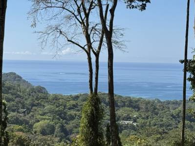 Dos lotes con vista al mar en Uvita: fácil acceso y amplios terrenos edificables.