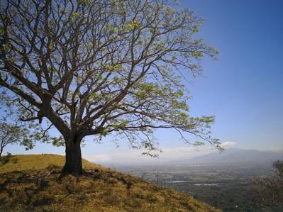 VENTA DE FINCA PREMIUM EN ALAJUELA – 396 HECTÁREAS
