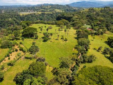 Spacious Land in Cordel near Picagres | 23,892 m² with Excellent Development Potential