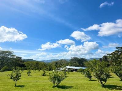 Impresionante finca ecoturística en venta, perfecta para inversión. ¡Haz realidad tu proyecto!