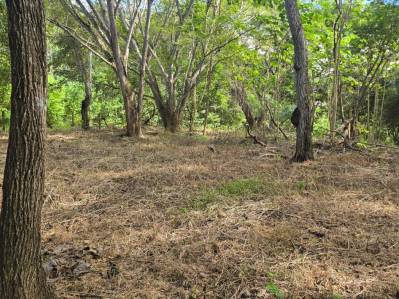 Lote de 8,009 m² en Venta en Quintas Esencia, Esparza, Costa Rica