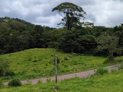 1,501 m² Lot for Sale in Bijagual de Turrubares – Ideal for Residential or Commercial Project