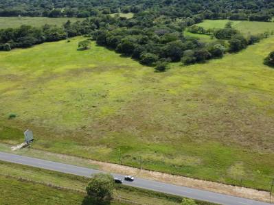 Desarrollo Industrial y Comercial en Nicoya, Ruta 21