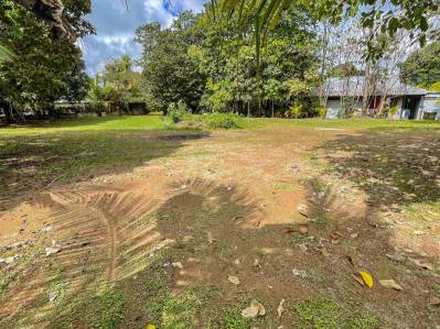 Excelente terreno en Uvita cerca de Marino Ballena, doble acceso, posibilidad de construir.