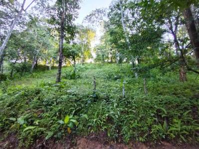 Terreno ribereño en Tres Ríos – 6558 m² de potencial