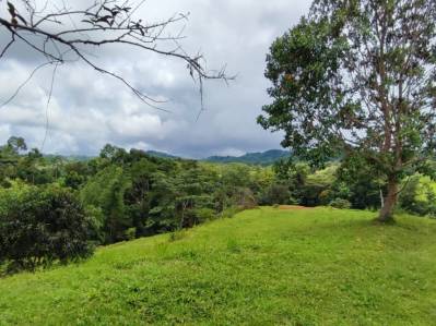 Large and Strategic Land in Bijagual – Ideal for Residential or Commercial Projects