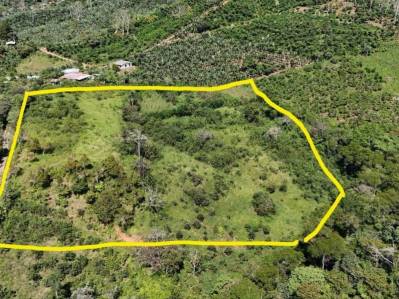 🏡 Terreno edificable con árboles frutales, arroyo y vistas a la montaña – Listo para su proyecto