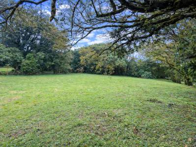 LOT FOR SALE – MONTEVERDE 🌿