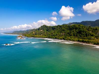 One of a kind Ocean View Commercial Walk to beach Property