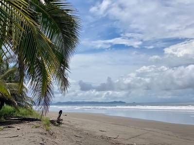 Lote frente a la playa de 900 metros cerca del Hotel Coco mar, Palo Seco