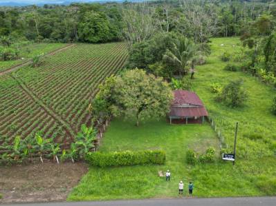 Venta Terreno 1.391 metros cuadrados 3 esquinas, Cerca de La Fortuna