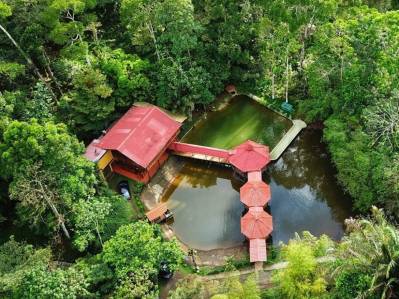 Parque de la Paz, complejo turístico con 5 cabañas y restaurante.