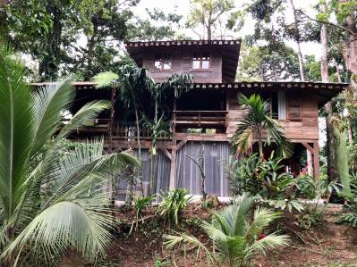 Punta Uva Jungle Property