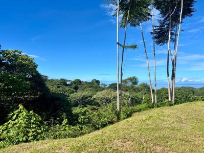 ¡Propiedad de 3,41 acres con vista al mar en Ojochal con agua legal!