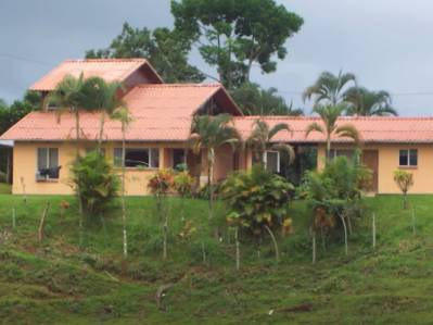 Finca Ganadera de Ensueño en Carara – 37 Hectáreas de Naturaleza, Agua y Potencial Ilimitado