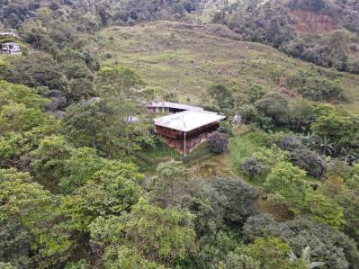 Finca de Montaña Cerca de Chirripó con Impresionantes Vistas e Infraestructura Sostenible