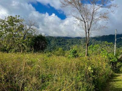 Lote plano con vista al mar
