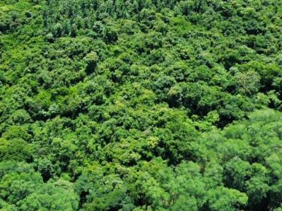 ✨ BAJAMAR / ECOLOGICAL INVESTMENT & COAST / $329,000 ✨