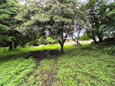 Land for sale in San Rafael de Heredia