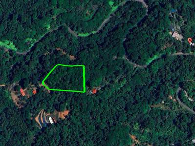 Terreno listo para construir con fácil acceso en un entorno de selva tropical exuberante.