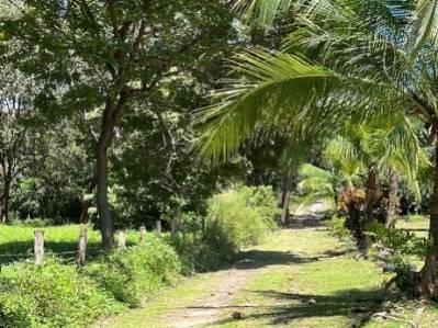 Propiedad en Bagaces, Guanacaste – Oportunidad para Desarrollo!