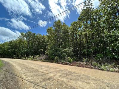 Venta de lote con servicios en Playa Avellanas