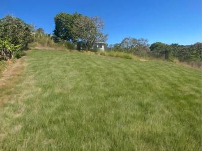 Venta de Lote en Palmitos De Naranjo